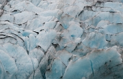 Portage Glacier 6262